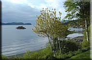 Pender Island Shore