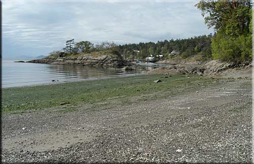 Camelot by the Sea, North Pender Island Accommodation
