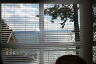 The SView