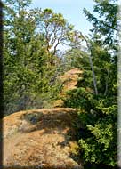 Eagle View, North Pender