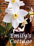 Emily's Cottage, North Pender