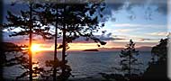 Sunset View