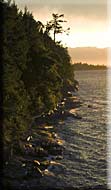 Lasqueti Wilderness, Lasqueti Island, British Columbia, Canada