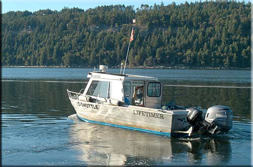 Driftwood Waterfront Cottage, Mudge Island Accommodation