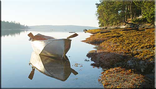 Driftwood Waterfront Cottage, Mudge Island Accommodation