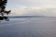 Ocean Front View