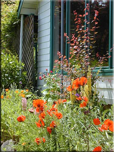 Rugosa Cottage, North Pender Island Accommodation