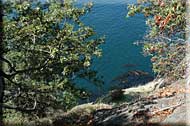 Sea Sound Haven, North Pender