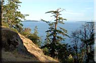 Sea Sound Waterfront View