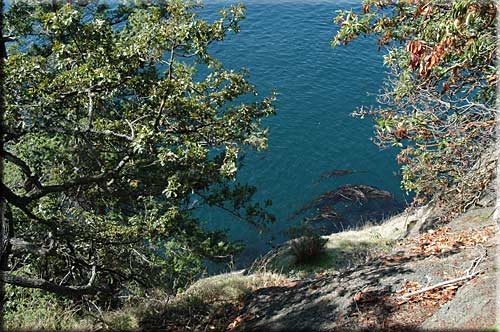Sea Sound Haven, North Pender Island Accommodation