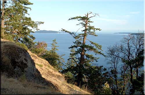 Sea Sound Haven, North Pender Island Accommodation