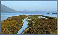 Exposed reefs at Cabbage Island, Gulf Islands National Park, Cabbage & Tumbo Island