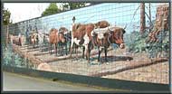 The murals of Chemainus, Vancouver Island