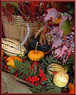 Have a great Canadian Thanksgiving, Gulf Islands