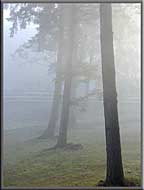 Morning fog during the cool November mornings, North Pender Island