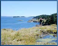 Looking south towards Rebecca Spit and Drew Harbour, Quadra Island