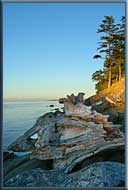 Looking across the Strait of Georgia from Winter Cove, Saturna Island