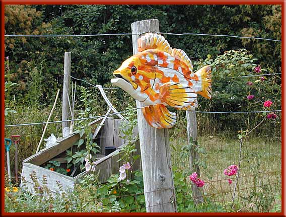 South Pender Island - Frank Ducote's whimsical fish at Art Off The Fence