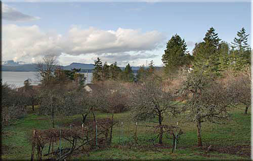 Westwind Cottage, North Pender Island Accommodation