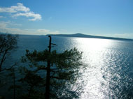 Whale Watch, North Pender