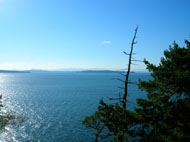 Whale Watch, North Pender