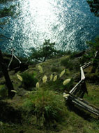 Whale Watch, North Pender