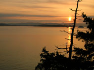 Whale Watch, North Pender